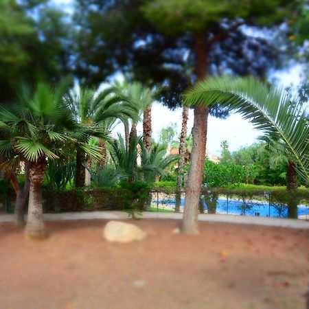 Palmeras, Piscina, Campo De Futbol Y Jardin Privados マサロン エクステリア 写真
