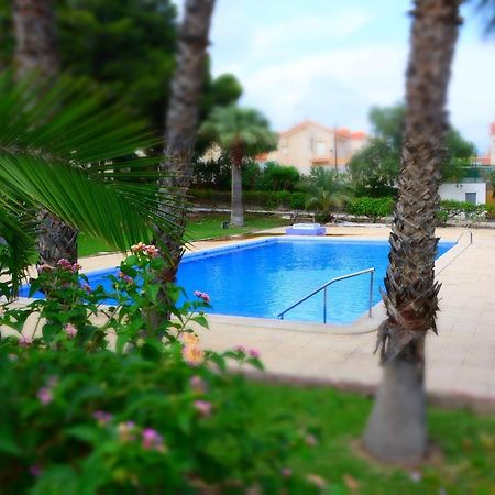 Palmeras, Piscina, Campo De Futbol Y Jardin Privados マサロン エクステリア 写真
