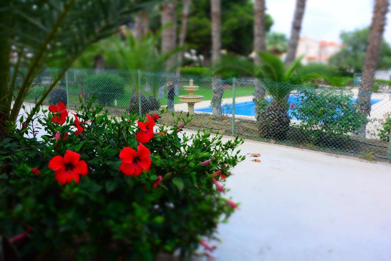 Palmeras, Piscina, Campo De Futbol Y Jardin Privados マサロン エクステリア 写真