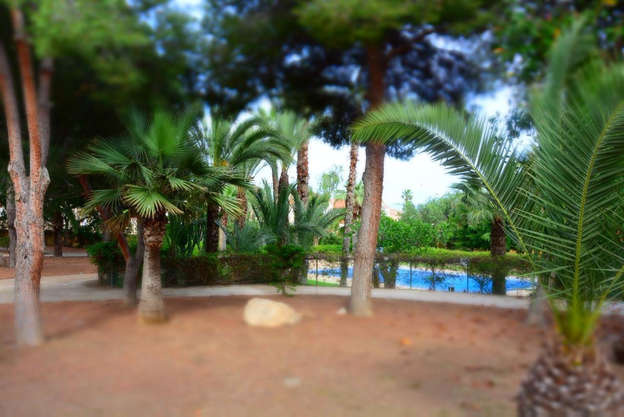 Palmeras, Piscina, Campo De Futbol Y Jardin Privados マサロン エクステリア 写真