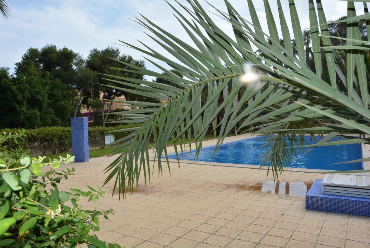 Palmeras, Piscina, Campo De Futbol Y Jardin Privados マサロン エクステリア 写真