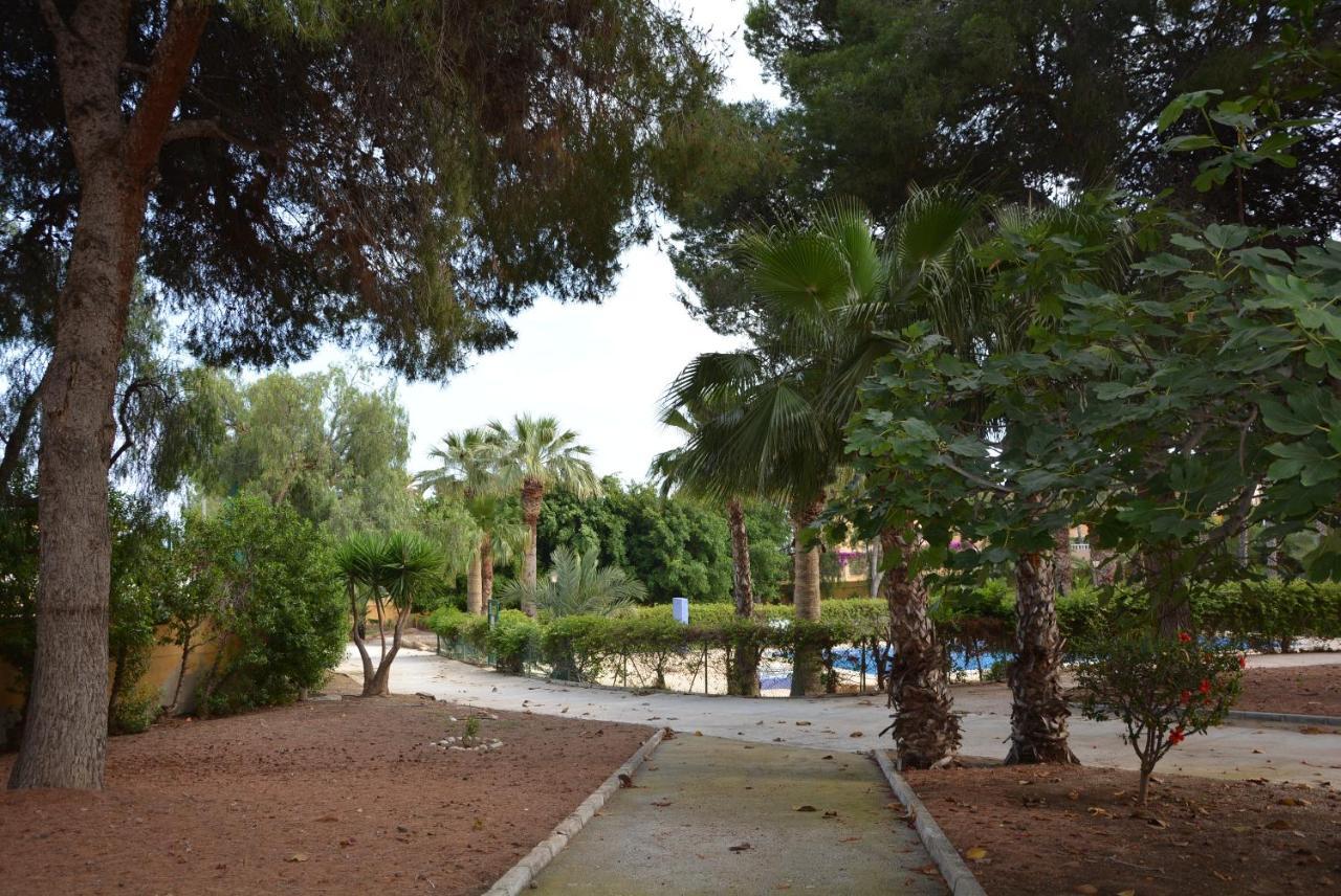 Palmeras, Piscina, Campo De Futbol Y Jardin Privados マサロン エクステリア 写真