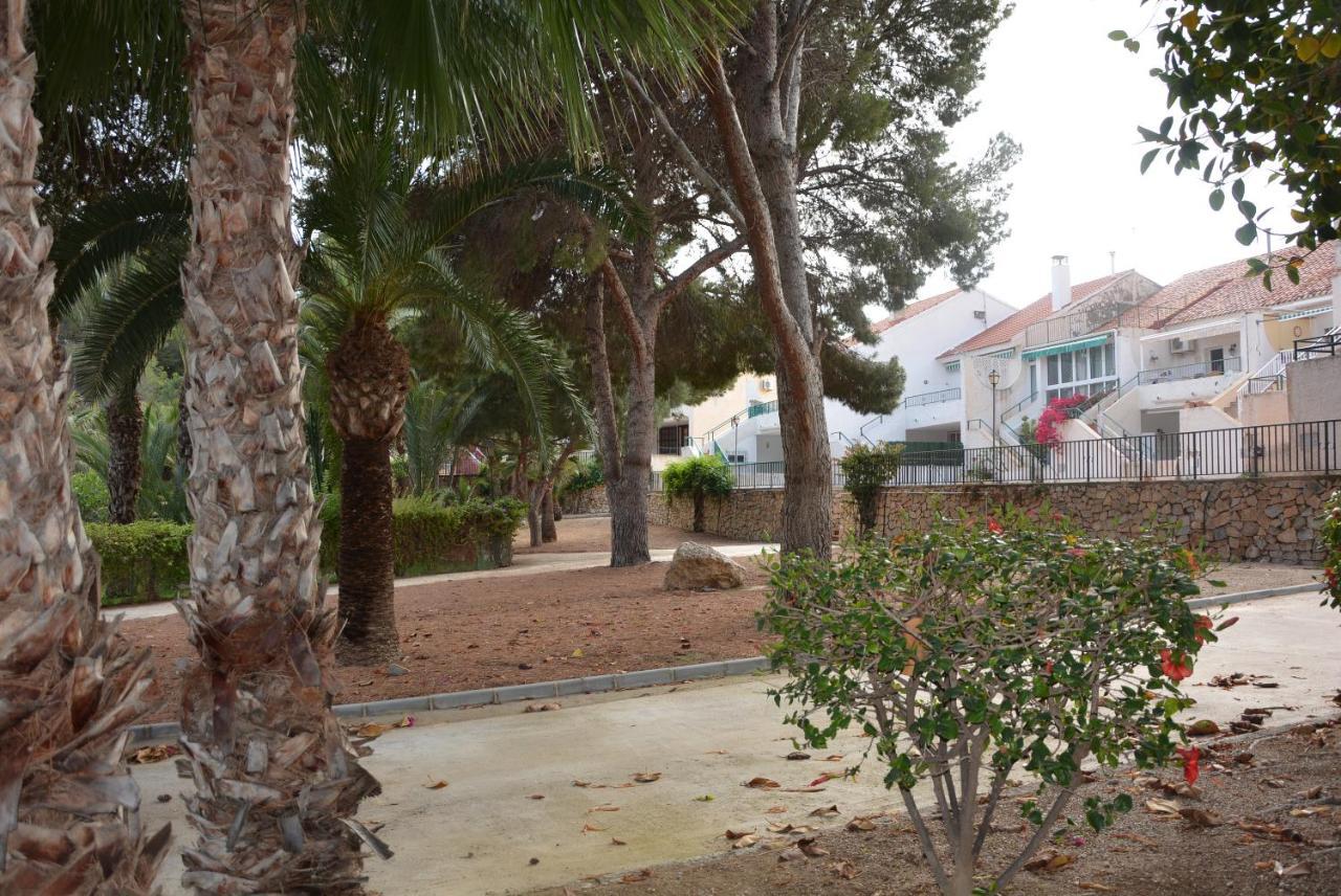 Palmeras, Piscina, Campo De Futbol Y Jardin Privados マサロン エクステリア 写真