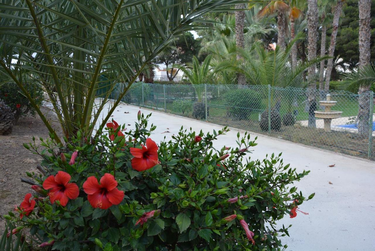 Palmeras, Piscina, Campo De Futbol Y Jardin Privados マサロン エクステリア 写真
