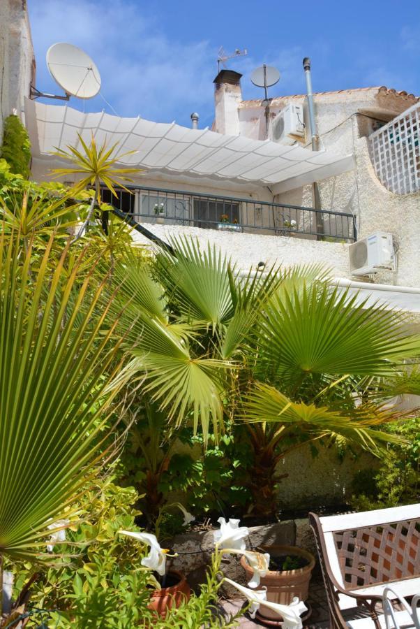 Palmeras, Piscina, Campo De Futbol Y Jardin Privados マサロン エクステリア 写真
