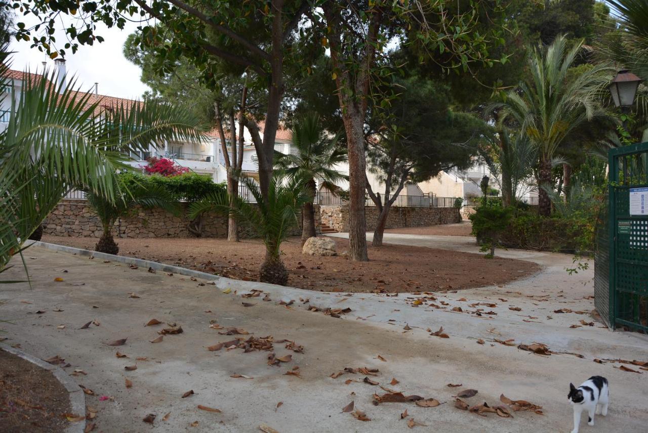 Palmeras, Piscina, Campo De Futbol Y Jardin Privados マサロン エクステリア 写真
