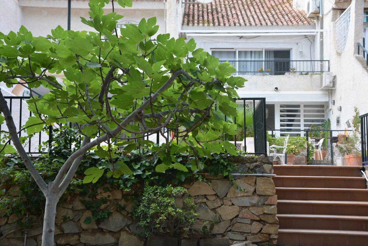Palmeras, Piscina, Campo De Futbol Y Jardin Privados マサロン エクステリア 写真