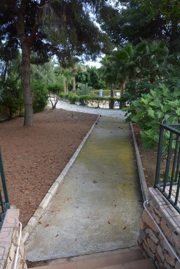 Palmeras, Piscina, Campo De Futbol Y Jardin Privados マサロン エクステリア 写真