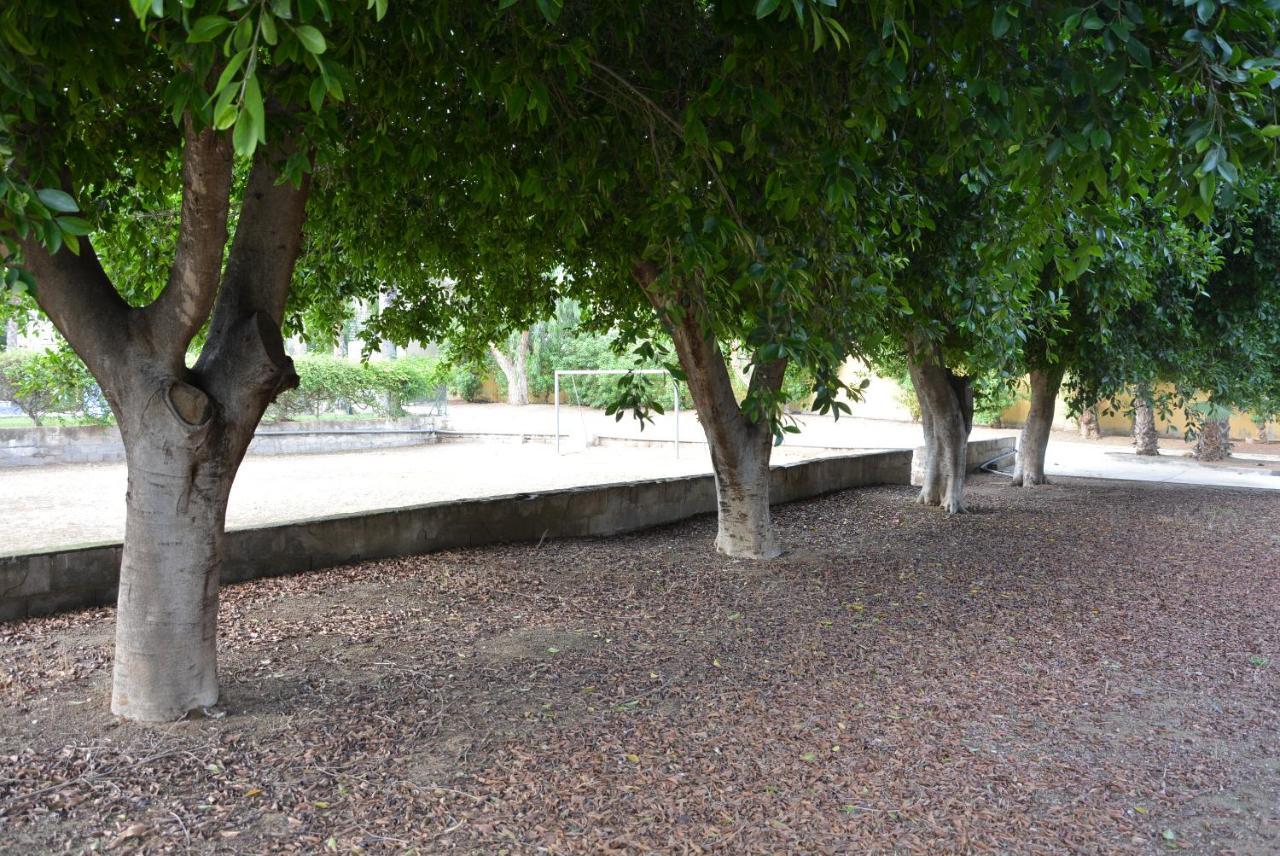 Palmeras, Piscina, Campo De Futbol Y Jardin Privados マサロン エクステリア 写真